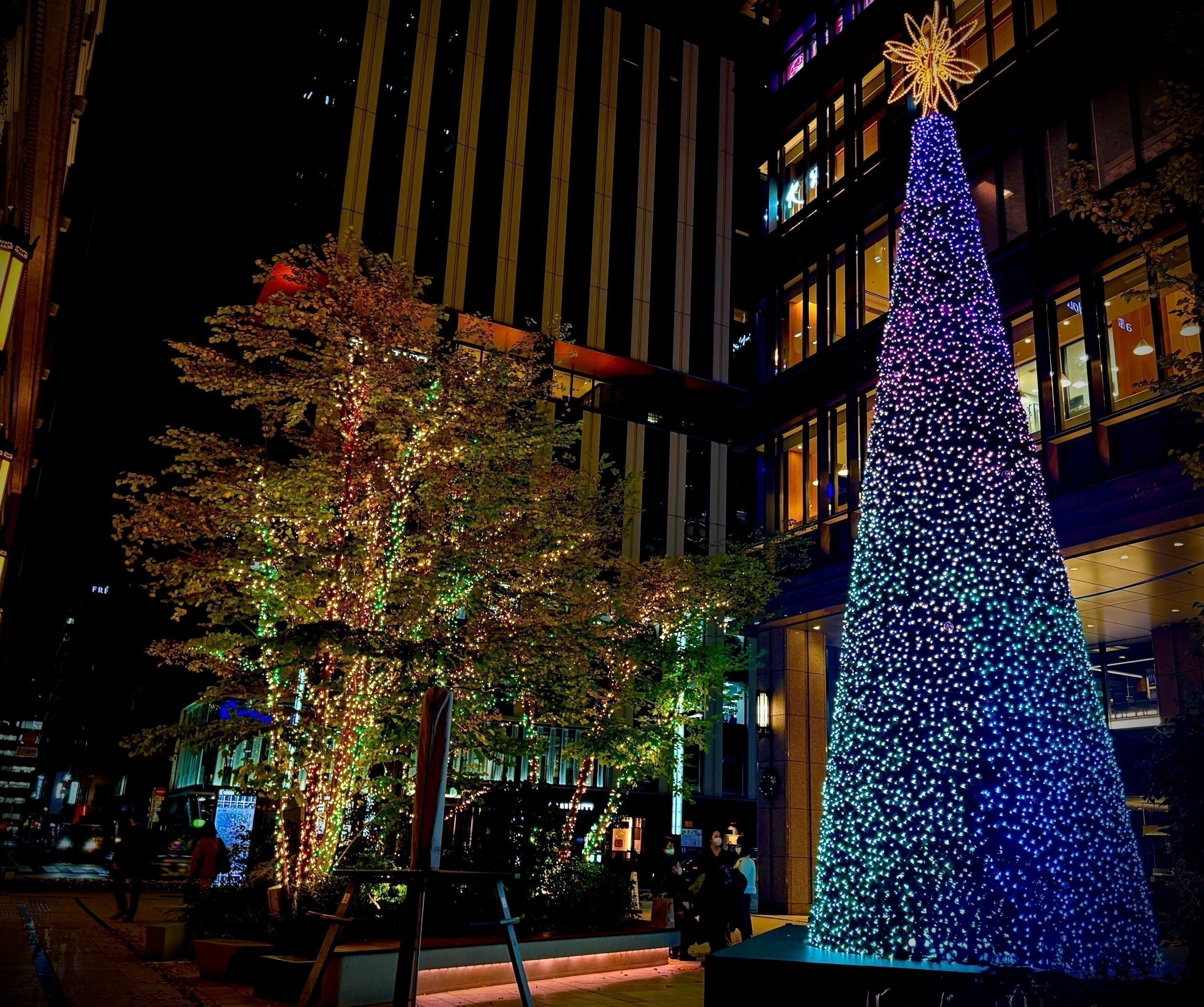 2025-2026中央區內燈飾資訊