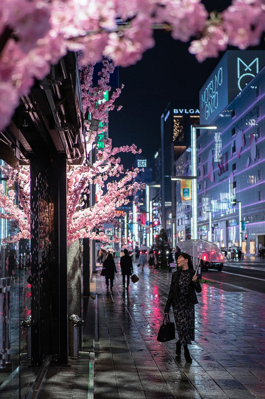 銀座的櫻花